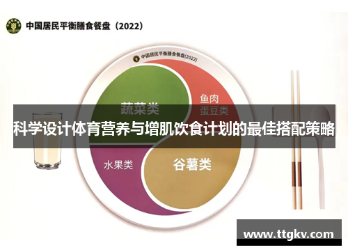 科学设计体育营养与增肌饮食计划的最佳搭配策略
